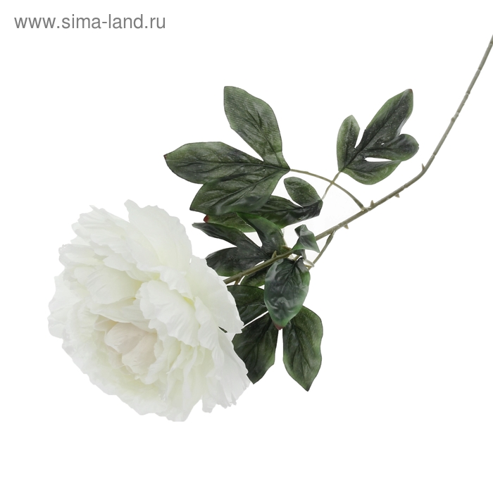 цветы искусственные пион 60 см, d-16см белый - Фото 1