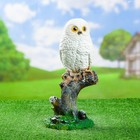Садовая фигура "Сова полярная" 17х17х38см - Фото 1