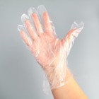 Перчатки одноразовые «Академия», размер М, п/эт, 100 шт/уп - Фото 1