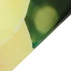 Картина модульная на стекле "Орхидеи" 2-25*50, 1-50*50 см,  100*50см - Фото 2