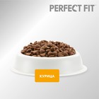 Сухой корм Perfect Fit для стерилизованных кошек, курица, 650 г 1144627 - фото 13203506