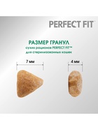 Сухой корм Perfect Fit для стерилизованных кошек, курица, 650 г - Фото 6
