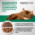 Сухой корм Perfect Fit для стерилизованных кошек, курица, 650 г - Фото 8