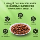 Влажный корм KiteKat для кошек, говядина в соусе, пауч, 85 г - Фото 5