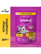 Сухой корм Whiskas для кошек, курица/индейка, подушечки, 350 г - Фото 1