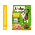 Сухой корм KiteKat «Аппетитная курочка» для кошек, 350 г - Фото 1