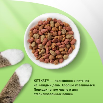 Сухой корм KiteKat «Аппетитная курочка» для кошек, 350 г