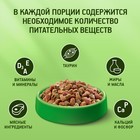 Сухой корм KiteKat «Аппетитная курочка» для кошек, 350 г - Фото 4