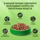 Сухой корм KiteKat "Аппетитная курочка" для кошек, 350 г 1144589 - фото 3121101