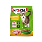 Сухой корм KiteKat "Аппетитная курочка" для кошек, 350 г 1144589 - фото 50402