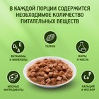 Влажный корм Kitekat для кошек, курица в соусе, пауч 85 г - Фото 5