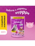 Сухой корм Whiskas для котят, индейка/морковь/молоко, подушечки, 350 г - Фото 1