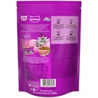 Сухой корм Whiskas для котят, индейка/морковь/молоко, подушечки, 350 г - Фото 2