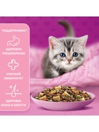 Сухой корм Whiskas для котят, индейка/морковь/молоко, подушечки, 350 г - Фото 5