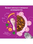 Сухой корм Whiskas для котят, индейка/морковь/молоко, подушечки, 350 г - Фото 6