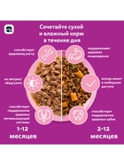 Сухой корм Whiskas для котят, индейка/морковь/молоко, подушечки, 350 г - Фото 9