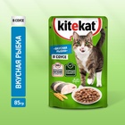 Влажный корм KiteKat для кошек, рыба в соусе, пауч, 85 г - Фото 1