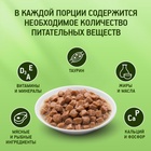 Влажный корм KiteKat для кошек, рыба в соусе, пауч, 85 г - Фото 7