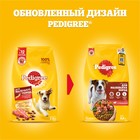 Сухой корм Pedigree для собак мелких пород, говядина, 600 г - Фото 5