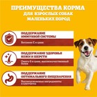 Сухой корм Pedigree для собак мелких пород, говядина, 600 г - фото 24373161