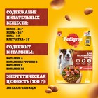 Сухой корм Pedigree для собак мелких пород, говядина, 600 г - Фото 3