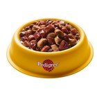 Влажный корм Pedigree для собак, говядина/ягненок в соусе, пауч, 85 г - Фото 12