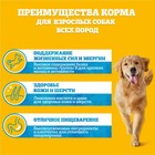 Влажный корм Pedigree для собак, говядина/ягненок в соусе, пауч, 85 г 1144620 - фото 2845396