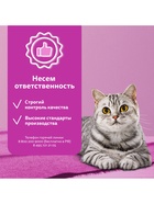 Сухой корм Whiskas для кошек, лосось, подушечки, 350 г - Фото 6
