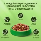 Сухой корм KiteKat «Мясной пир» для кошек, 350 г - Фото 4