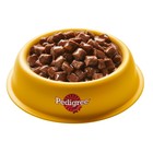 Влажный корм Pedigree для щенков, говядина в соусе, пауч, 85 г - Фото 12