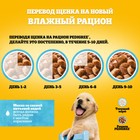 Влажный корм Pedigree для щенков, говядина в соусе, пауч, 85 г - Фото 8