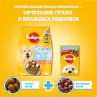 Влажный корм Pedigree для щенков, говядина в соусе, пауч, 85 г - Фото 10