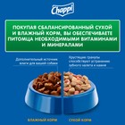 Влажный корм Chappi для собак, с говядиной, пауч, 85 г - Фото 8