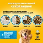 Сухой корм Pedigree для взрослых собак всех пород, говядина, 600 г - Фото 7