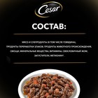 Влажный корм Cesar для собак, говядина с овощами, в соусе, пауч, 85 г - Фото 5