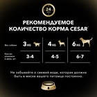 Влажный корм Cesar для собак, говядина с овощами, в соусе, пауч, 85 г - Фото 7