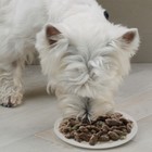 Влажный корм Cesar для собак, ягненок с овощами в соусе, пауч, 85 г - Фото 9