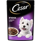 Влажный корм Cesar для собак, ягненок с овощами в соусе, пауч, 85 г - Фото 10