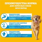 Сухой корм Pedigree для взрослых собак всех пород, говядина, 2,2 кг. - Фото 4