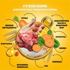 Сухой корм Pedigree для взрослых собак всех пород, говядина, 2,2 кг. - Фото 5