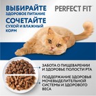 Сухой корм Perfect Fit для домашних кошек, курица, 650 г - Фото 8
