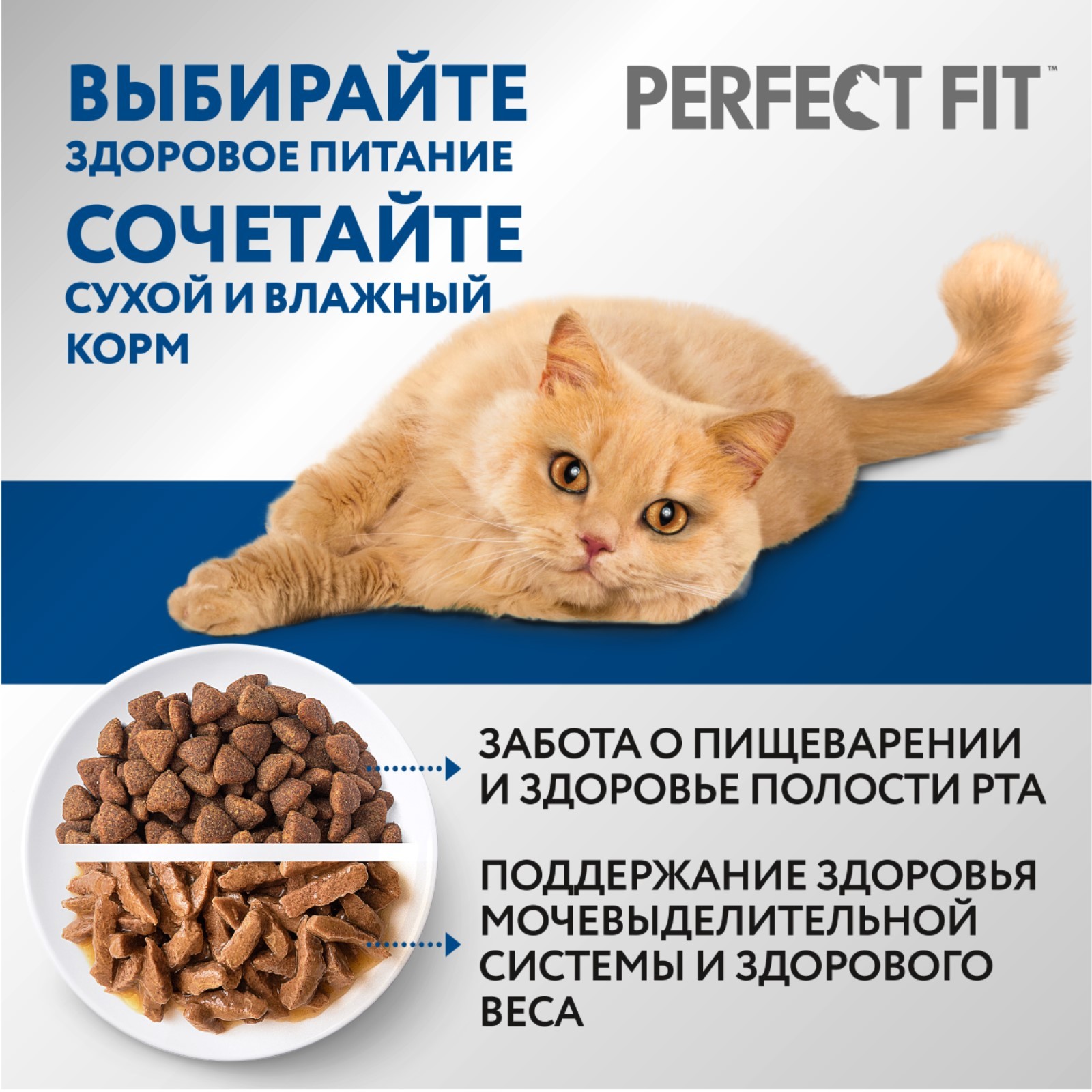 Купить Корм Perfect Fit В Спб