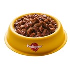 Влажный корм Pedigree для собак, говядина в соусе, пауч, 85 г - Фото 12
