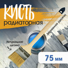 Кисть радиаторная ТУНДРА, натуральная щетина, деревянная рукоятка, 3", 75 мм 881549 - фото 16461234