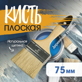 {{productViewItem.photos[photoViewList.activeNavIndex].Alt || productViewItem.photos[photoViewList.activeNavIndex].Description || 'Кисть плоская ТУНДРА, натуральная щетина, деревянная рукоятка, 3&quot;, 75 мм'}}