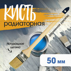 Кисть радиаторная ТУНДРА, натуральная щетина, деревянная рукоятка, 2", 50 мм 881547 - фото 3802577