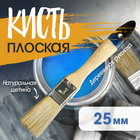 Кисть плоская ТУНДРА, натуральная щетина, деревянная рукоятка, 1", 25 мм 881527 - фото 16504603