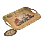 Поднос, серия "Британская кошка", 35 х 25 см - Фото 2