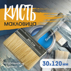 Кисть-макловица ТУНДРА, натуральная щетина, пластиковая рукоятка, 30×120 мм - Фото 1
