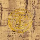 Шкатулка книга-сейф «Двуглавый орёл», искусственная кожа с тиснением, 30×21×7 см - Фото 5